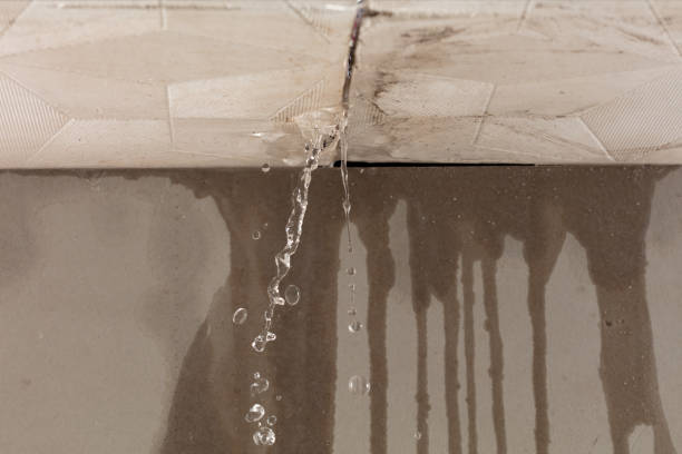Professional Burst Pipe Cleanup technician working in Nunn, CO